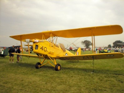 Tiger Moth