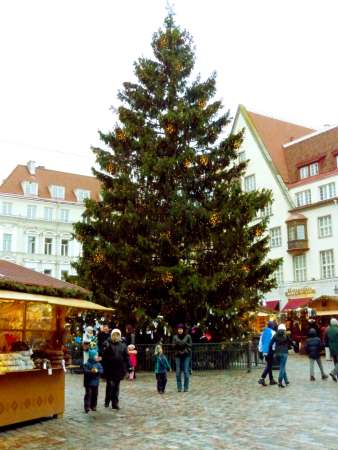 Town Hall Square Christmas Tree